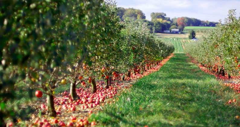 We Dig: Cideries You Can Stay At