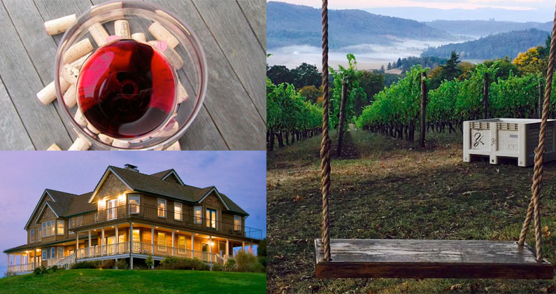 Wine Country Fairy Tale at Youngberg Hill Vineyard & Inn