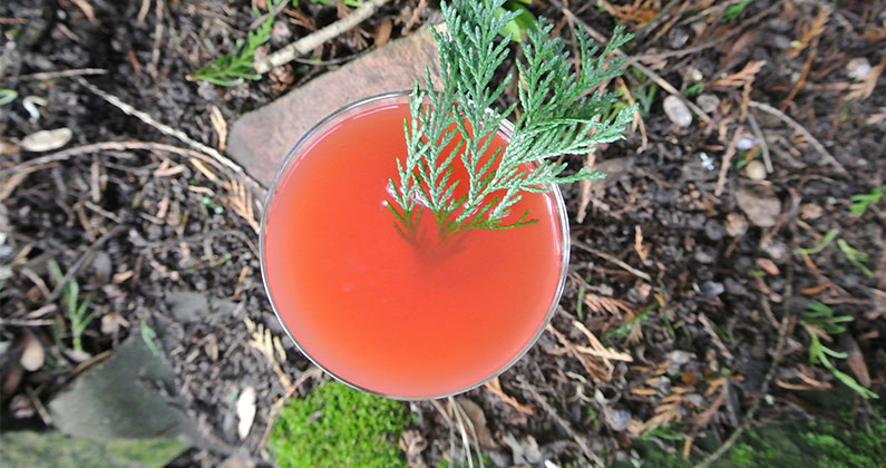 Local Proof: Savory Cocktail with Clear Creek Douglas Fir Brandy