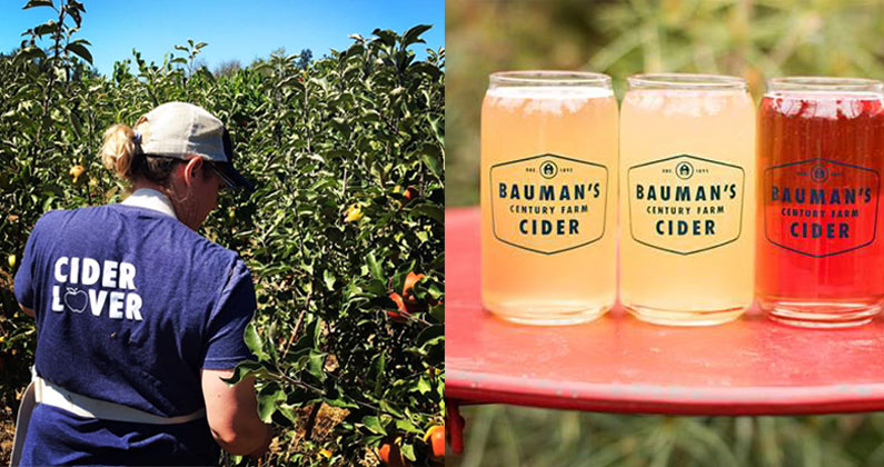 The Fruit Roots of Christine Walter at Bauman’s Cider