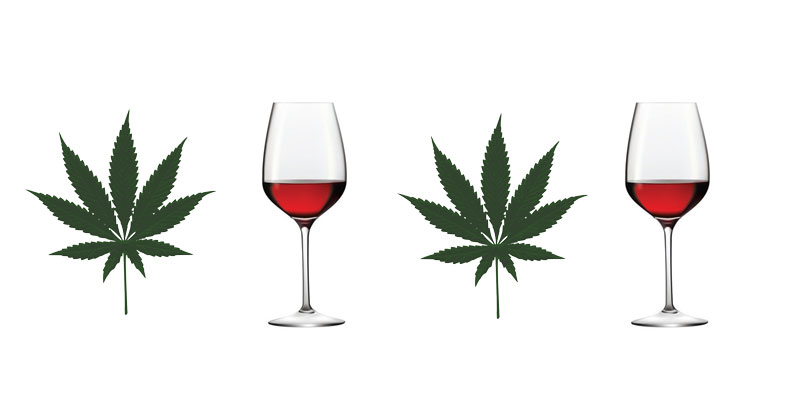 5 Cannabis Strains + Shops for Wine Lovers