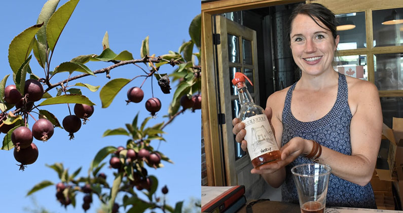 4 Questions with Missy Dobernigg of The BX Press Cidery