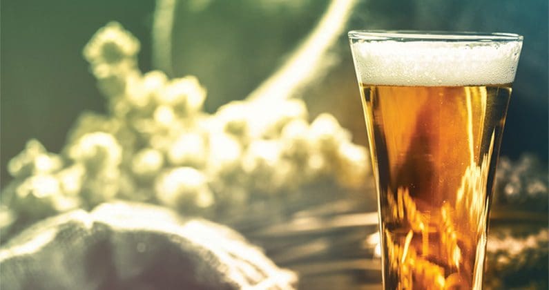bieredegarde biere de garde