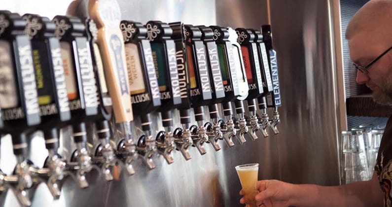 mollusk mollusk brewing water