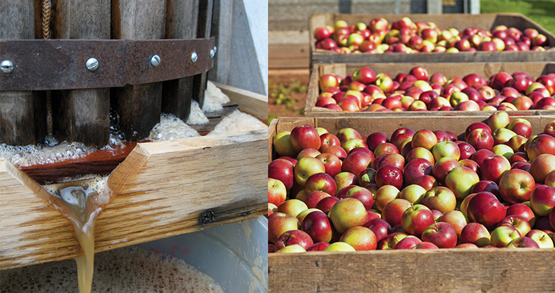 Your Home Cidermaking Checklist
