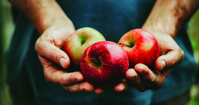Cider Apples 101: Not Your Average Grocery Store Produce