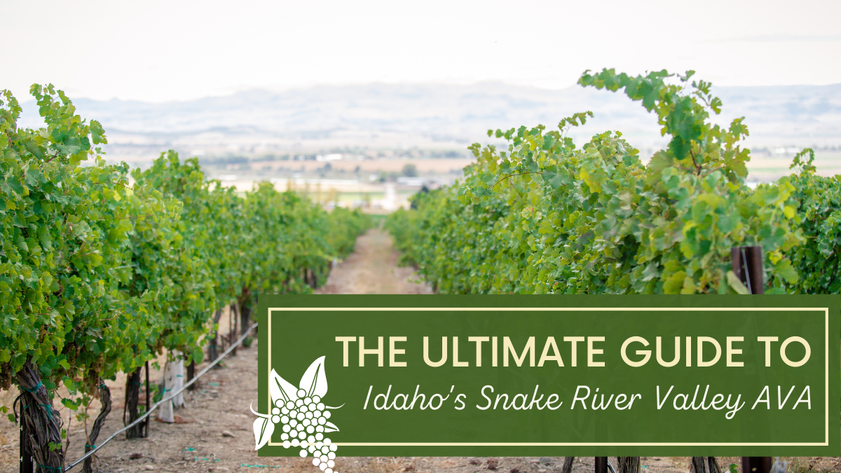 The Ultimate Guide to Idaho’s Snake River Valley AVA