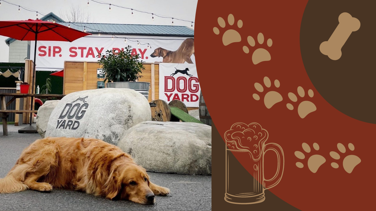 Pups and Pints – Man’s Best Friend (and Drinking Buddy)