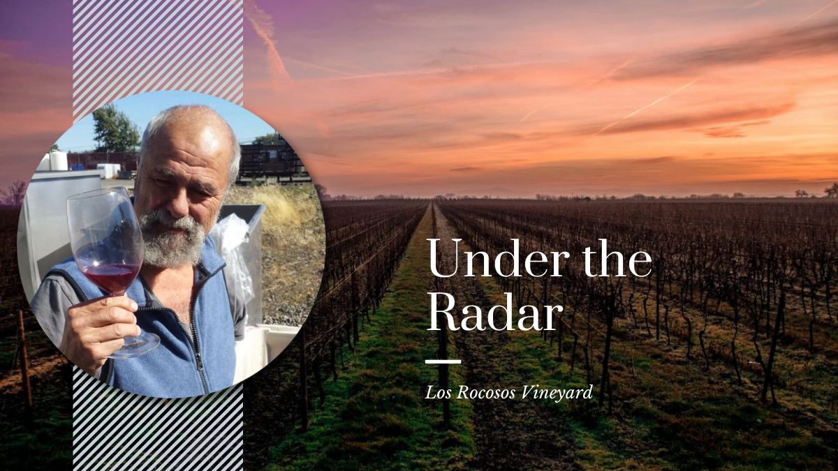 Under The Radar in Walla Walla: Los Rocosos Vineyards