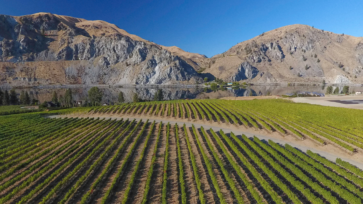 Rocky Reach is Washington’s 20th American Viticultural Area
