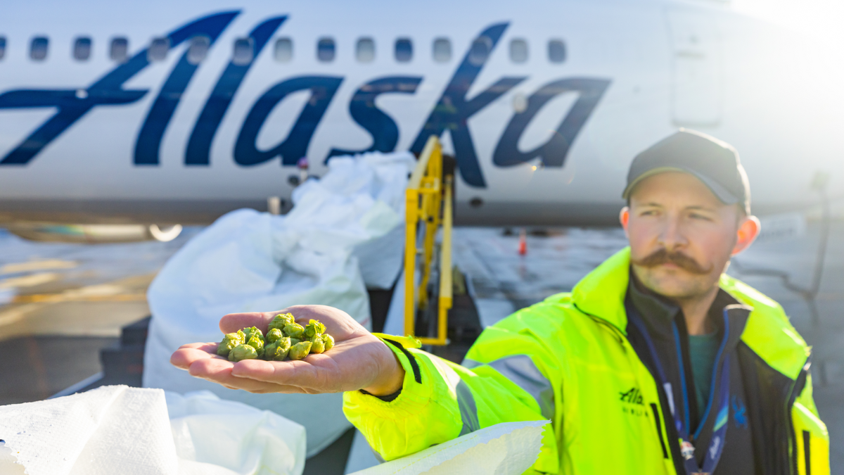 Fresh Hops Fly: Bringing Fresh Hop Beers to Alaska and Hawaii