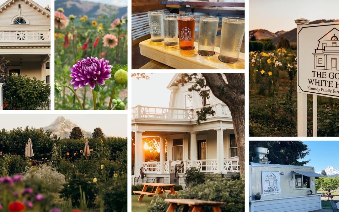 A Northwest Food & Cider Experience