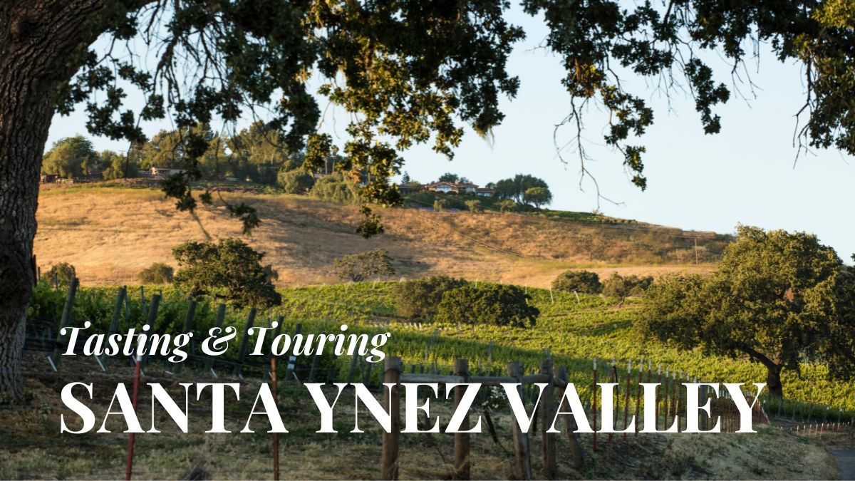 Tasting & Touring with Tori in Santa Ynez Valley