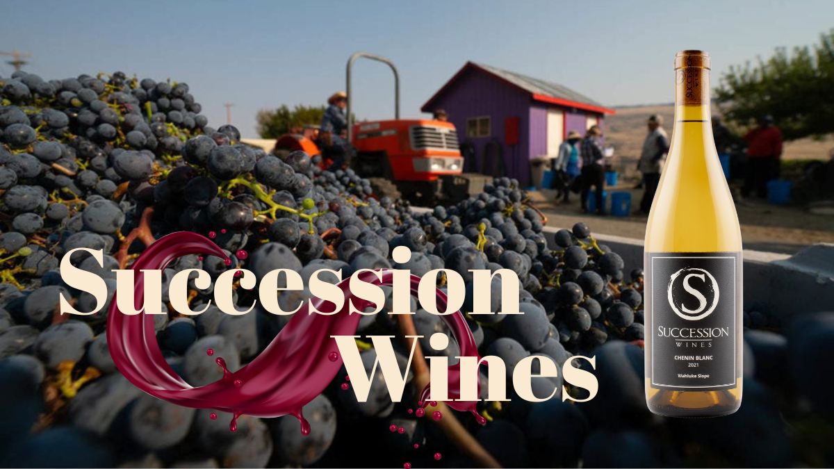 Under the Radar: Succession Wines