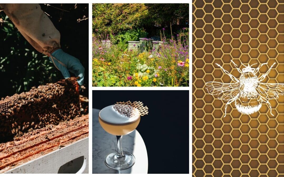 Sip and Stay: Honeybees Play a Role in the Culinary Program at Canada’s Fairmont Empress