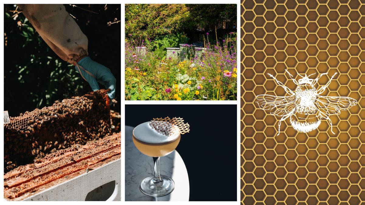 Sip and Stay: Honeybees Play a Role in the Culinary Program at Canada’s Fairmont Empress