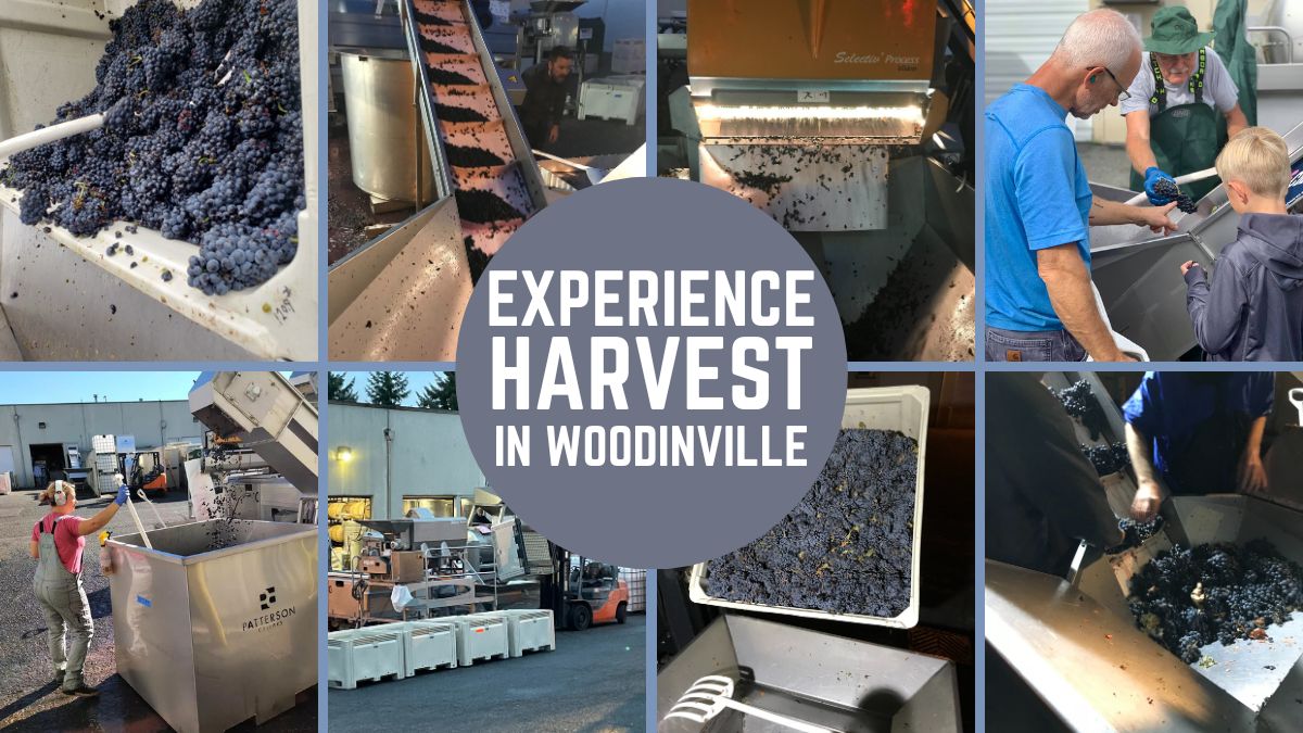 Harvest Festival: Come to Woodinville on Sept. 30 to see how wine is made