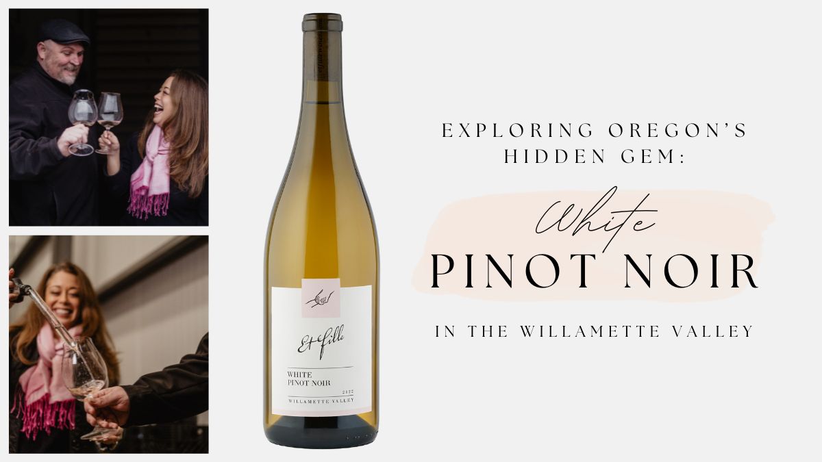 Exploring Oregon’s Hidden Gem: White Pinot Noir in the Willamette Valley