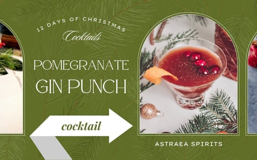 Pomegranate Gin Punch Cocktail