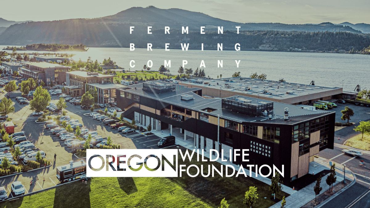Ferment Brewing and Oregon Wildlife Foundation Celebrate Herman the Sturgeon with Special Brew