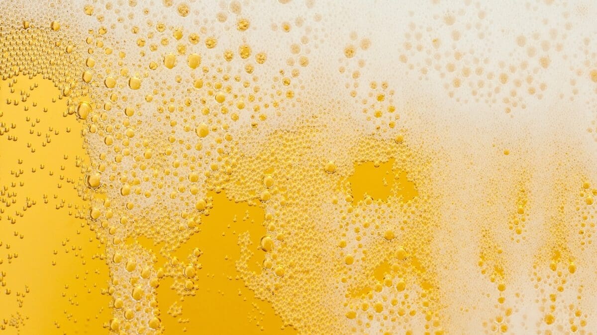 8 Beers to Sip this Summer