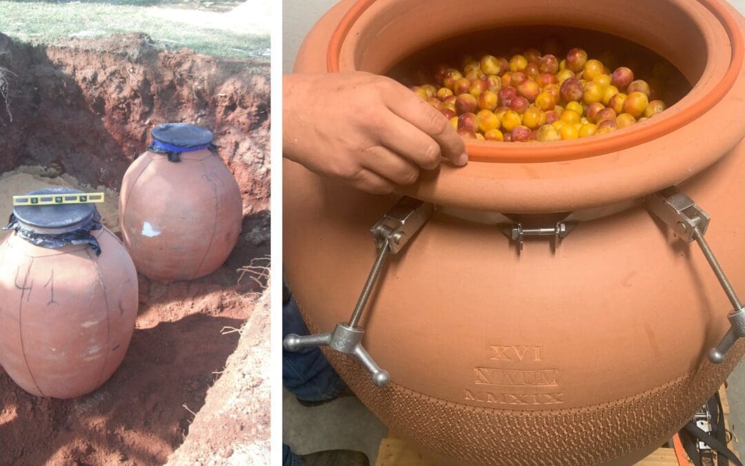 Meet the Cidermakers Using Ancient Technology to Produce Modern Cider