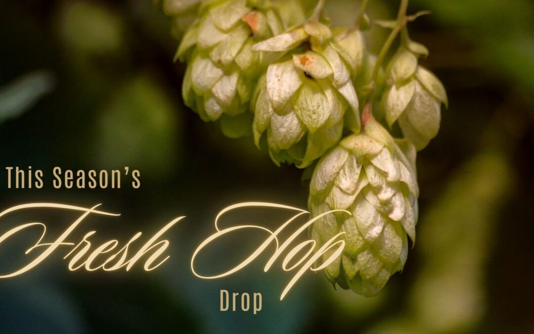 Chasing Freshies: Fresh Hop Beers to Sip This Season