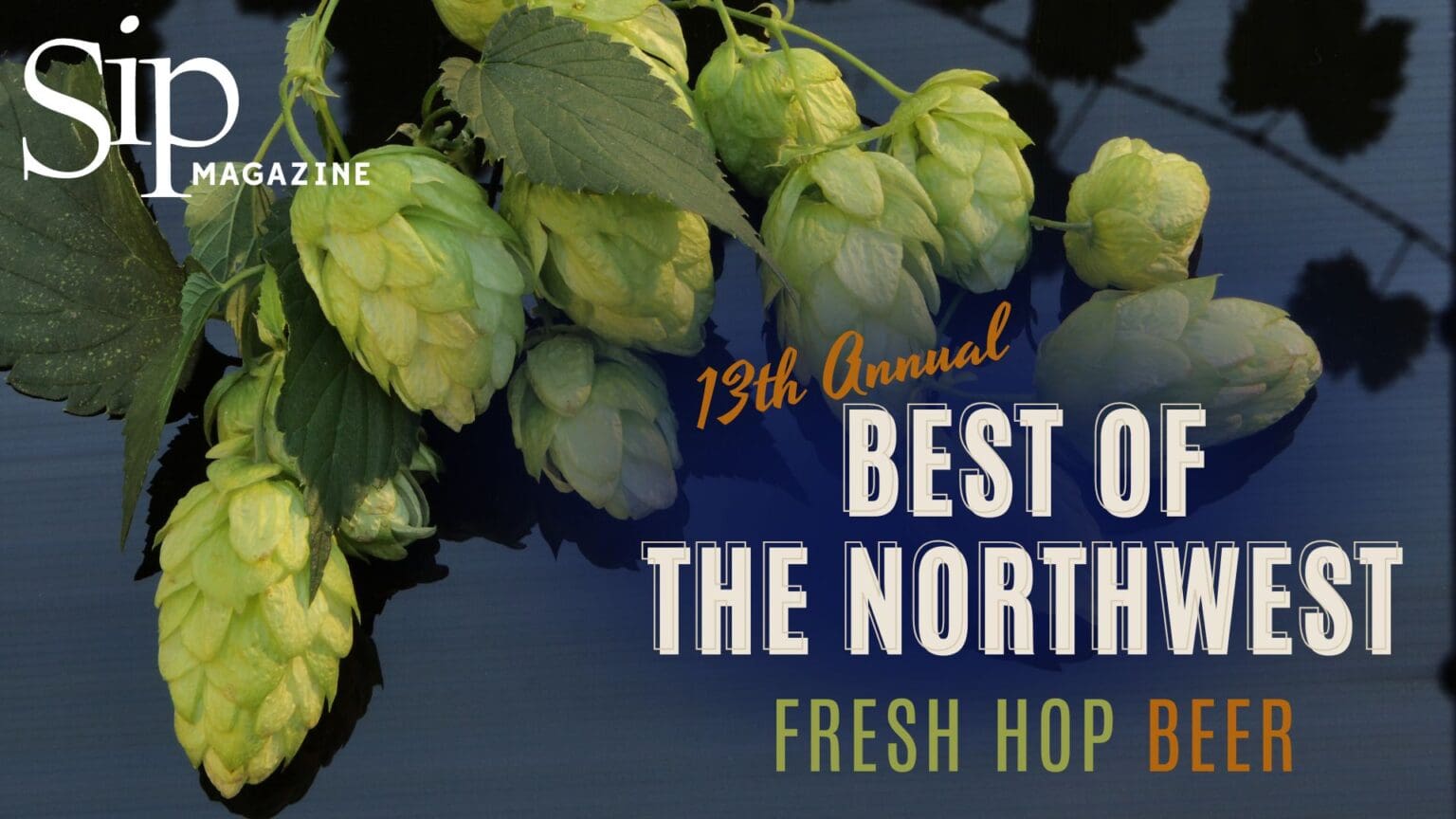 Fresh Hop Winners Revealed!