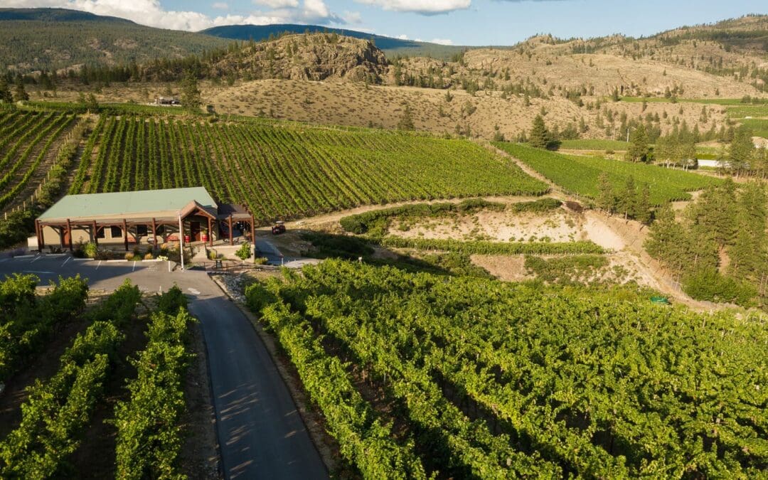 Stag’s Hollow Winery Celebrating 30 Years of Innovation in Okanagan Falls, BC