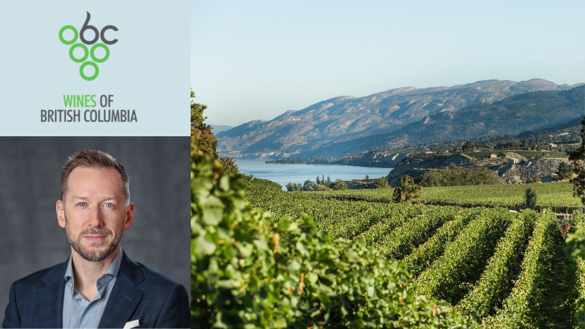 BCWine_NewCEO_SipWeb (1)