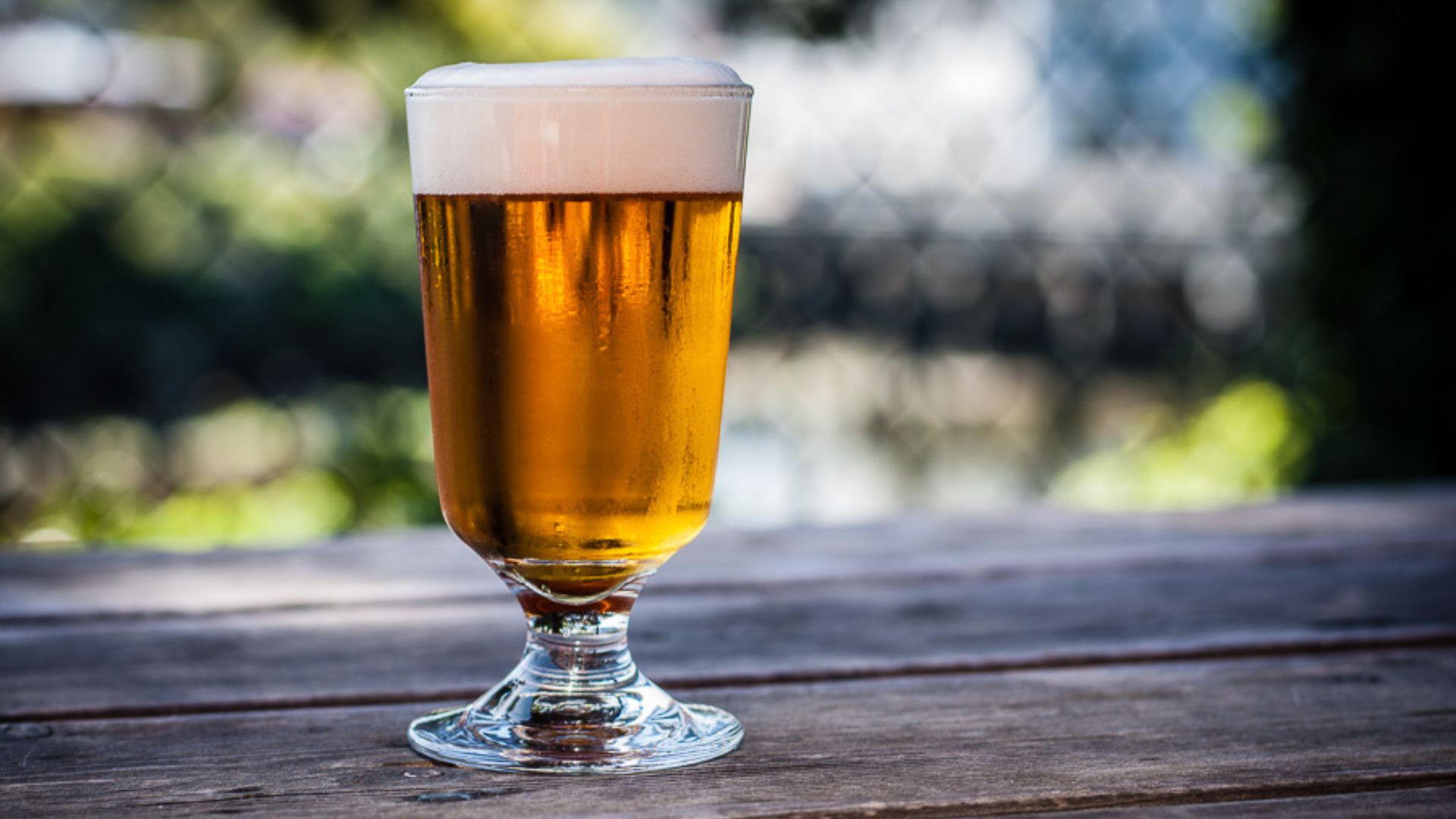 Chuckanut_Helles