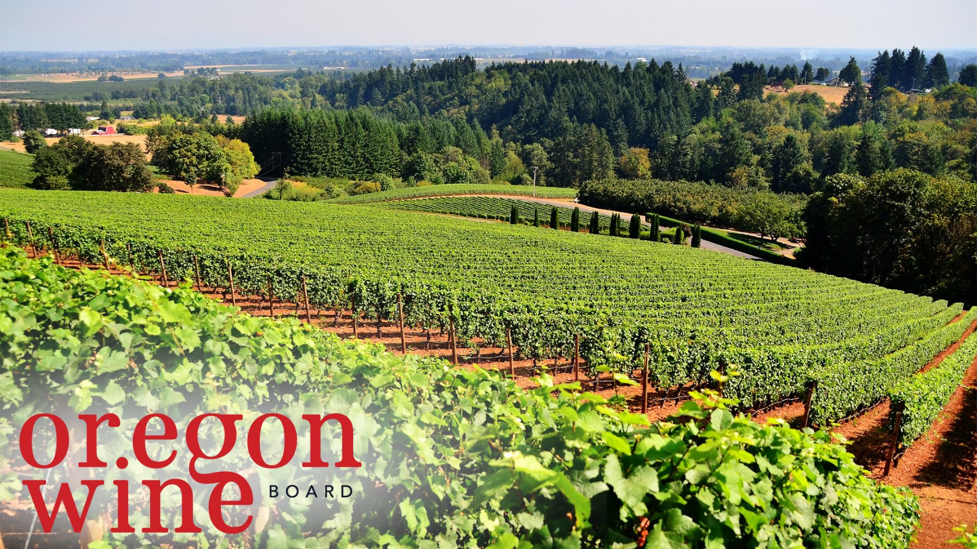 OR_WineBoard_SipWeb