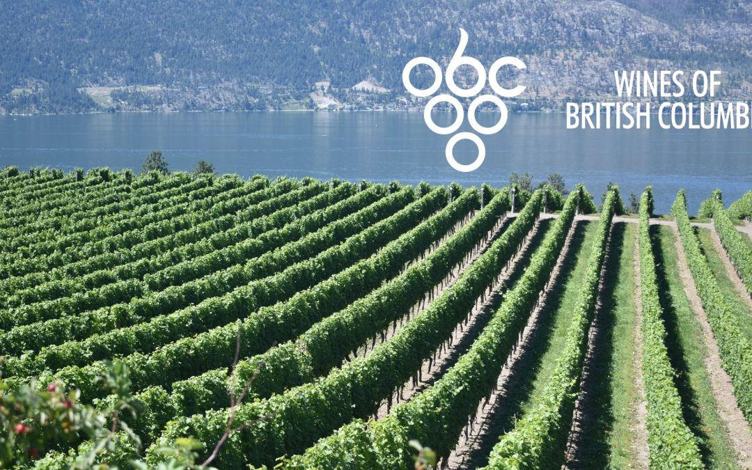 Province Extends Vintage Replacement Support to Help BC Wine Industry Recover from 2024 Freeze