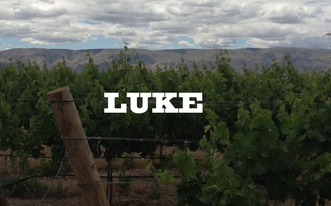 Washington’s LUKE Wines Joins Evergreen Family Wines Portfolio