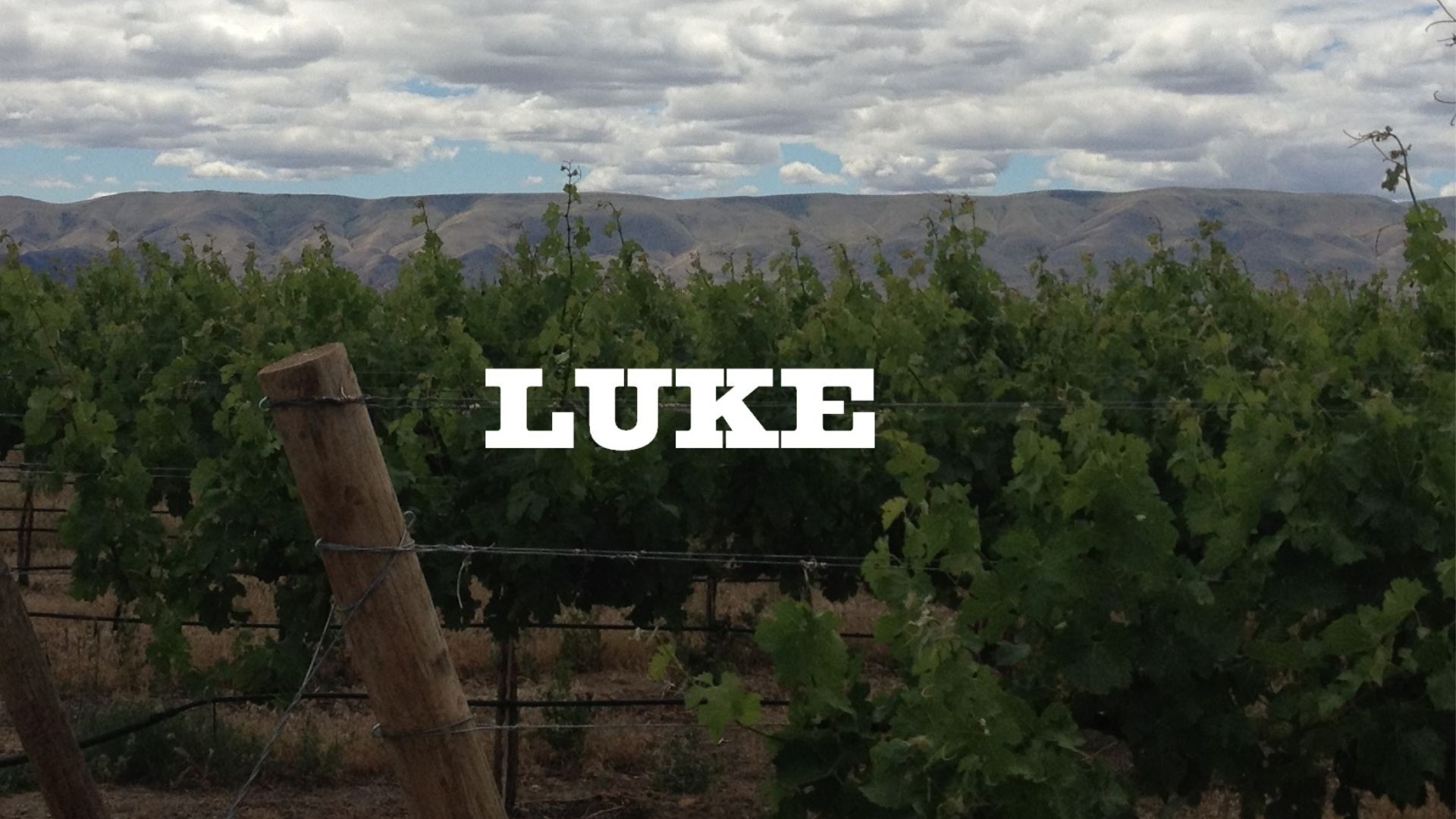 Luke_SipWeb