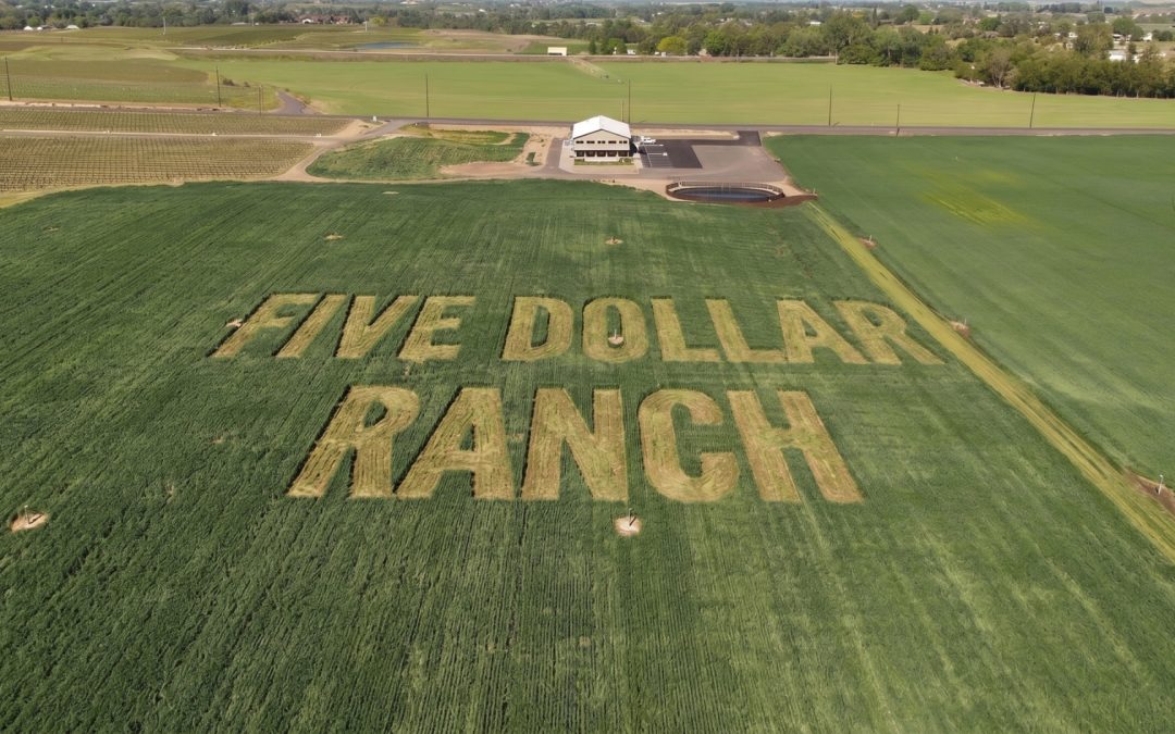 Five Dollar Ranch Brewing Company Announces Opening of New Location in Walla Walla