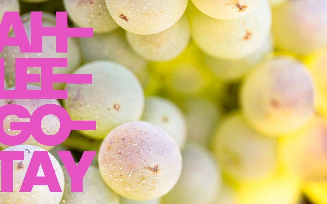 Out of Chardonnay’s Shadow: Aligoté Finds a Home in Oregon
