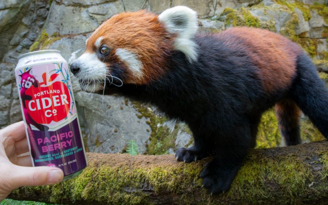 Portland Cider Co. Welcomes Oregon Zoo’s New Red Pandas With Special-Edition Pacific Berry