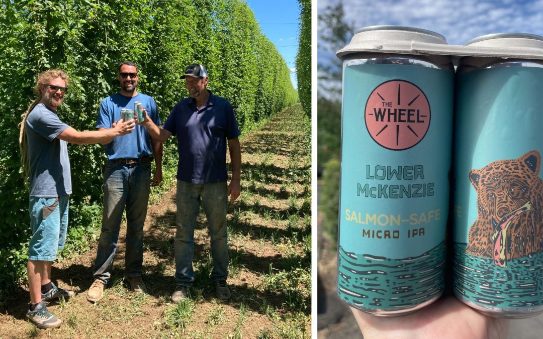 The Wheel Releases Lower McKenzie, a micro-IPA featuring 100% Oregon-grown Salmon-Safe Ingredients to highlight Watershed Protection