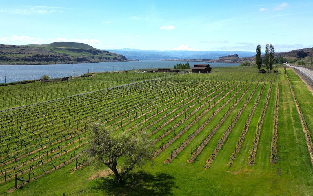 Columbia Hills is Washington’s 22nd American Viticultural Area