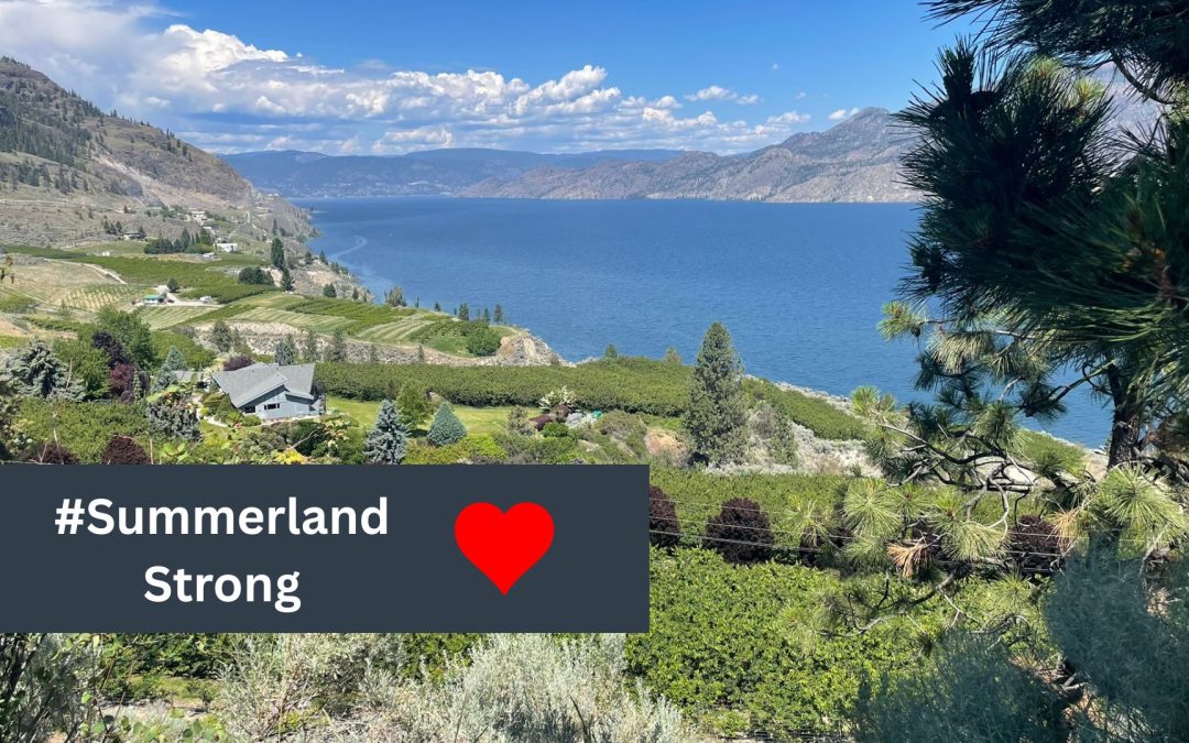 Choose Summerland: Community Calls on British Columbians for Support During Bald Range Wildfire