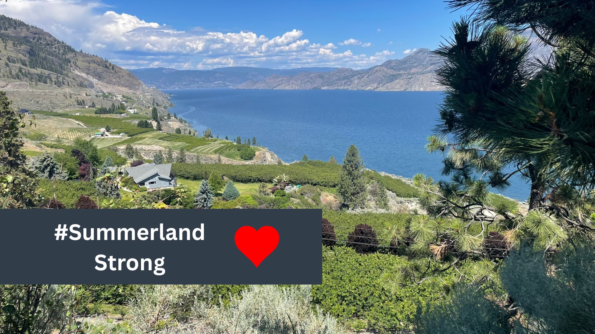 SummerlandStrong (1)
