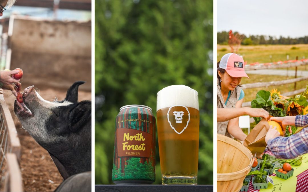 New Local Beer Collab in Honor of Washington’s Eat Local Month!