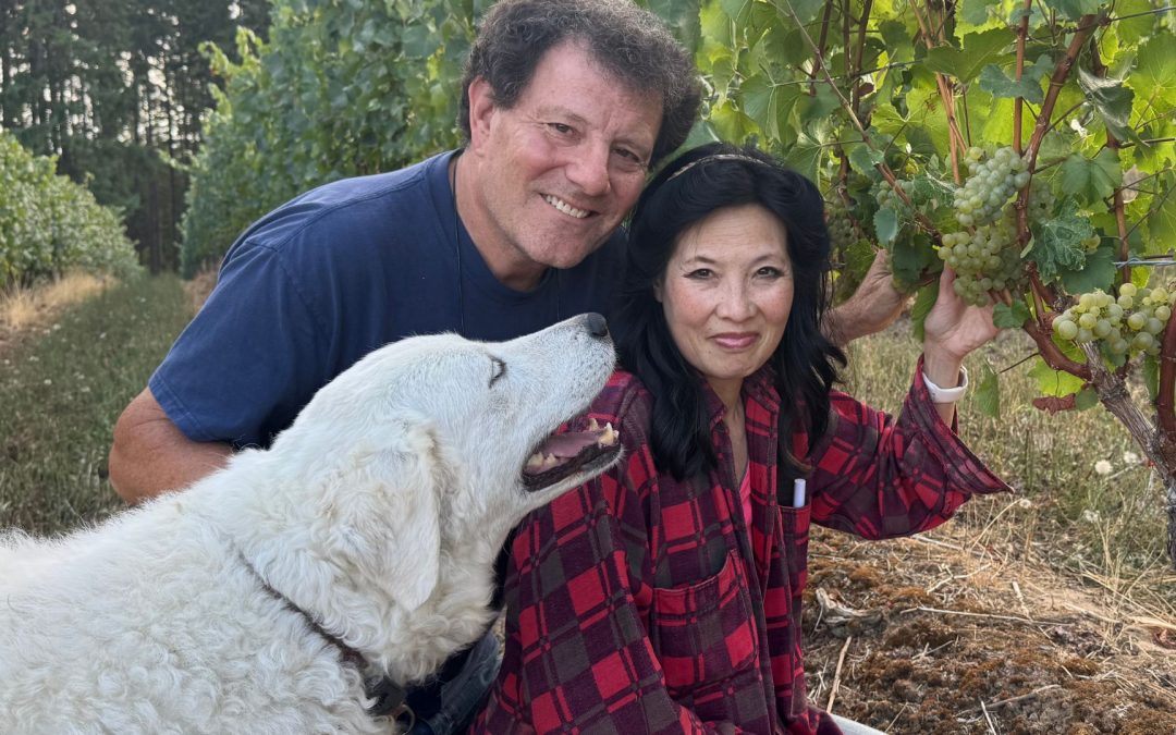 Meet the Dogs of Northwest Wine Country